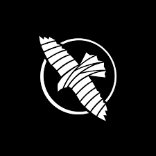 Hayabusa Fight Coupons and Promo Code