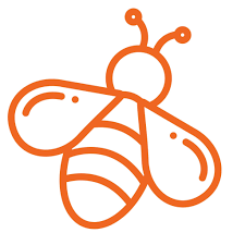 EverBee Coupons and Promo Code