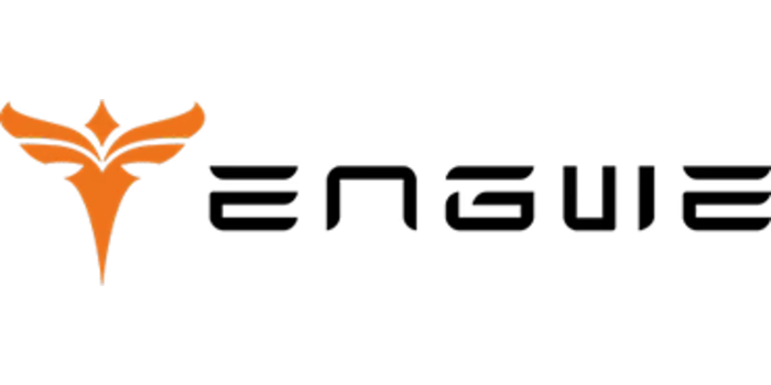Engwe-NL Coupons and Promo Code